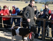 15 Jahre Tscheggenschaf-Verein Mieming – Über 100 Aussteller kamen zur Jubiläumsausstellung