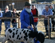 15 Jahre Tscheggenschaf-Verein Mieming – Über 100 Aussteller kamen zur Jubiläumsausstellung