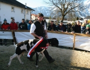 15 Jahre Tscheggenschaf-Verein Mieming – Über 100 Aussteller kamen zur Jubiläumsausstellung