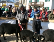 15 Jahre Tscheggenschaf-Verein Mieming – Über 100 Aussteller kamen zur Jubiläumsausstellung