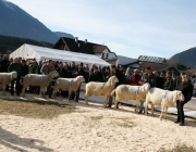 40 Jahre Schafzuchtverein Untermieming