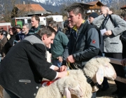 40 Jahre Schafzuchtverein Untermieming