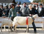 40 Jahre Schafzuchtverein Untermieming