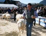 40 Jahre Schafzuchtverein Untermieming