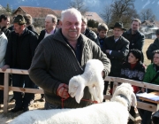 40 Jahre Schafzuchtverein Untermieming