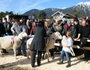 40 Jahre Schafzuchtverein Untermieming