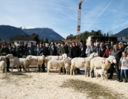 40 Jahre Schafzuchtverein Untermieming