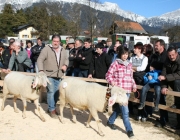 40 Jahre Schafzuchtverein Untermieming