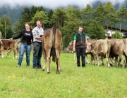 Almabtrieb Hochfeldern Alm 2016