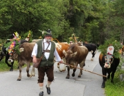 almfest-marienberg-alm-2013_091