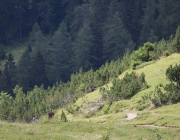 Almmesse auf der Marienberg Alpe – Hirtenfamilie geht nach 40 Jahren in den Ruhestand