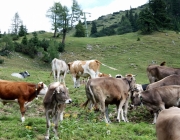 Almmesse auf der Marienberg Alpe – Hirtenfamilie geht nach 40 Jahren in den Ruhestand