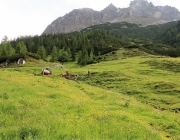 Bauarbeiten Marienberg Alm Juni 2017