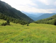 Bauarbeiten Marienberg Alm Juni 2017