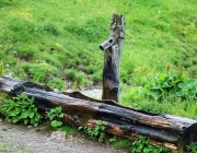 Bauarbeiten Marienberg Alm Juni 2017