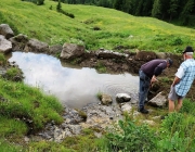 Bauarbeiten Marienberg Alm Juni 2017