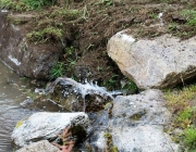 Bauarbeiten Marienberg Alm Juni 2017