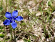 Ortstermin Seeben Alm – Gebaut werden Steinschlagschutz und Gastankanlage