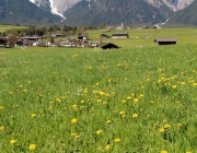 Frühlingserleben in Untermieming