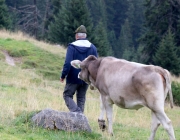 hochfeldernalpe-baubeginn (132 von 232)