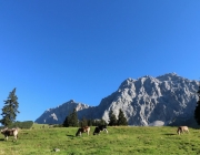 Ein Tag beim Hüttenteam auf der Hochfeldern Alm