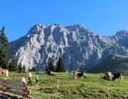 Ein Tag beim Hüttenteam auf der Hochfeldern Alm