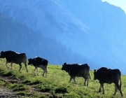 Ein Tag beim Hüttenteam auf der Hochfeldern Alm