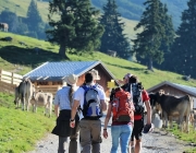 Ein Tag beim Hüttenteam auf der Hochfeldern Alm