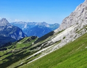 Hochfeldernalm 2013 – Vieh-Auftrieb ins Felderer Tal