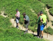 Hochfeldernalm 2013 – Vieh-Auftrieb ins Felderer Tal