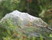 Spurensuche im Quellgebiet des Stöttlbachs