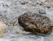 Spurensuche im Quellgebiet des Stöttlbachs