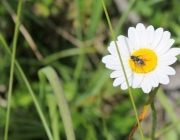 Spurensuche im Quellgebiet des Stöttlbachs