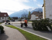 Der Maibaum 2017 In Barwies