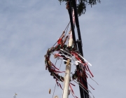 Der Maibaum 2017 In Barwies