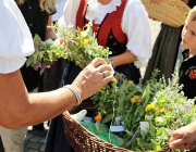 Maria Himmelfahrt – „Jeder Schritt ist das Erlebnis“