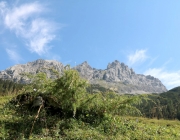 Almmesse auf der Marienberg Alm im August 2015