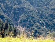 Almmesse auf der Marienberg Alm im August 2015