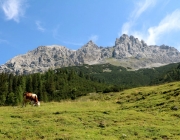 Almmesse auf der Marienberg Alm im August 2015