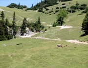 Almmesse auf der Marienberg Alm im August 2015