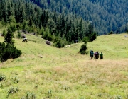 Almmesse auf der Marienberg Alm im August 2015