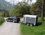 Viehauftrieb zum Vorberg der Marienbergalm – Auftakt zum Almsommer