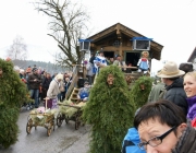 Mieminger Fastnachtsumzug 2011