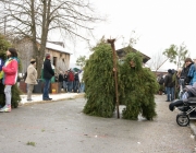 Mieminger Fastnachtsumzug 2011