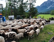 Schafschoad Seeben Alm 2013 – Grünsteinscharte im Schnee