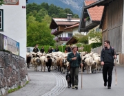 Schafschoad Seeben Alm 2013 – Grünsteinscharte im Schnee