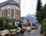 Schafschoad Seeben Alm 2013 – Grünsteinscharte im Schnee