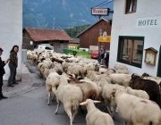 Schafschoad Seeben Alm 2013 – Grünsteinscharte im Schnee