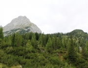 Freilichtbühne Seeben Alm – Almvieh und Wanderer begegnen sich Aug‘ in Aug‘