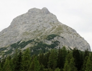 Freilichtbühne Seeben Alm – Almvieh und Wanderer begegnen sich Aug‘ in Aug‘